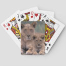 Buscar áfrica barajas de cartas Animal