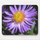 Buscar aster alfombrillas de raton Púrpura