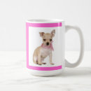 Buscar chihuahuas tazas Para ella