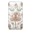 Buscar haeckel ernst iphone fundas Medusas