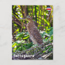 Buscar juvenil postales Naturaleza