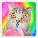 Buscar consumo pegatinas Humor