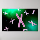 Buscar cromosoma posters Abstracto