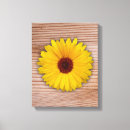 Buscar rusos lienzos General y unisex