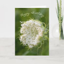 Buscar reina del tarjetas de cumpleaños General y unisex