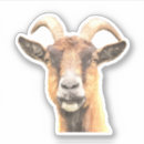 Buscar cabras pegatinas Animal