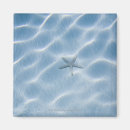 Buscar estrellas de mar imanes Criaturas del sealife