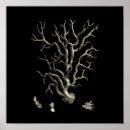 Buscar background arte Ocean