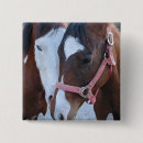 Buscar caballo del amor pins Botón