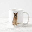 Buscar tervuren Perro