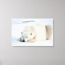 Buscar oso polar lienzos 6 º pesadilla