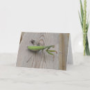 Buscar mantis religiosa tarjetas Predicador
