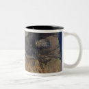 Buscar cabo verde tazas Exterior