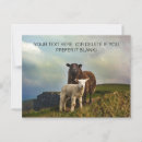 Buscar yo irland postales 6 º oveja