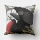 Buscar ecuador cojines Pájaro