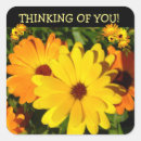 Buscar pensando pegatinas Flores