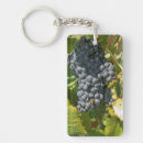 Buscar bodegas llaveros Agricultura