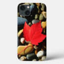 Buscar arce ipad fundas Danita delimont