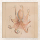 Buscar octopus posavasos Océano