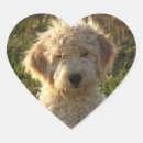 Buscar salud corazon pegatinas Para ella