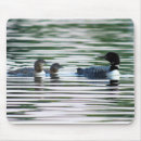 Buscar pájaros agua de alfombrillas de raton Patos