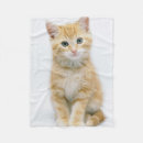 Buscar curiosidad fotografía Animales del bebé