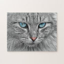 Buscar ojos azules Gris