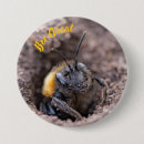 Buscar abeja chapas General y unisex