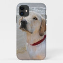Buscar perro del labrador retriever iphone fundas General y unisex