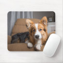 Buscar animals alfombrillas de raton Queen's dog
