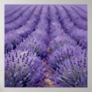 Buscar textura posters Naturaleza