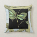 Buscar libélula cojines Insectos