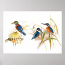 Buscar gould Azul