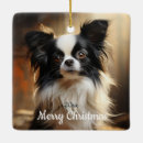 Buscar papillon Navidades