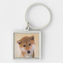 Buscar ken llaveros Shiba inu
