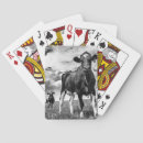 Buscar prado barajas de cartas Nubes