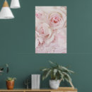 Buscar rosas hermosos posters Rosas rosas rosas