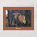 Buscar hojas postales Hojas de otoño