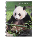 Buscar parque zoológico fotografía Panda gigante