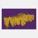 Buscar ginkgo pegatinas Árbol