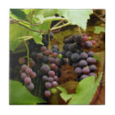 Buscar uva azulejos 8 º fruta