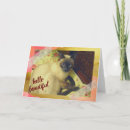 Buscar gatos siameses tarjetas Felino