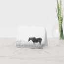 Buscar mustang tarjetas Caballo