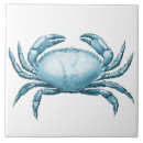 Buscar cangrejo azul azulejos Vida marina