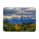 Buscar wildflower imanes Paisaje