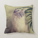 Buscar amortiguador del gato cojines Para todos