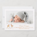 Buscar alba General y unisex
