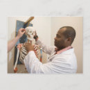 Buscar médicos postales Educación