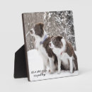 Buscar mascota memoriales fotos General y unisex