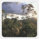 Buscar tanzania pegatinas Verde